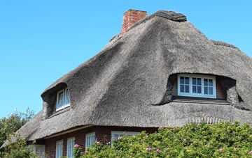 thatch roofing Hanworth